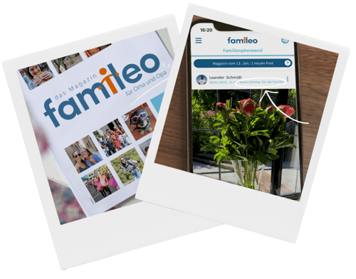 Für jedes Magazin ein eigenes Titelblatt - Famileo Pro