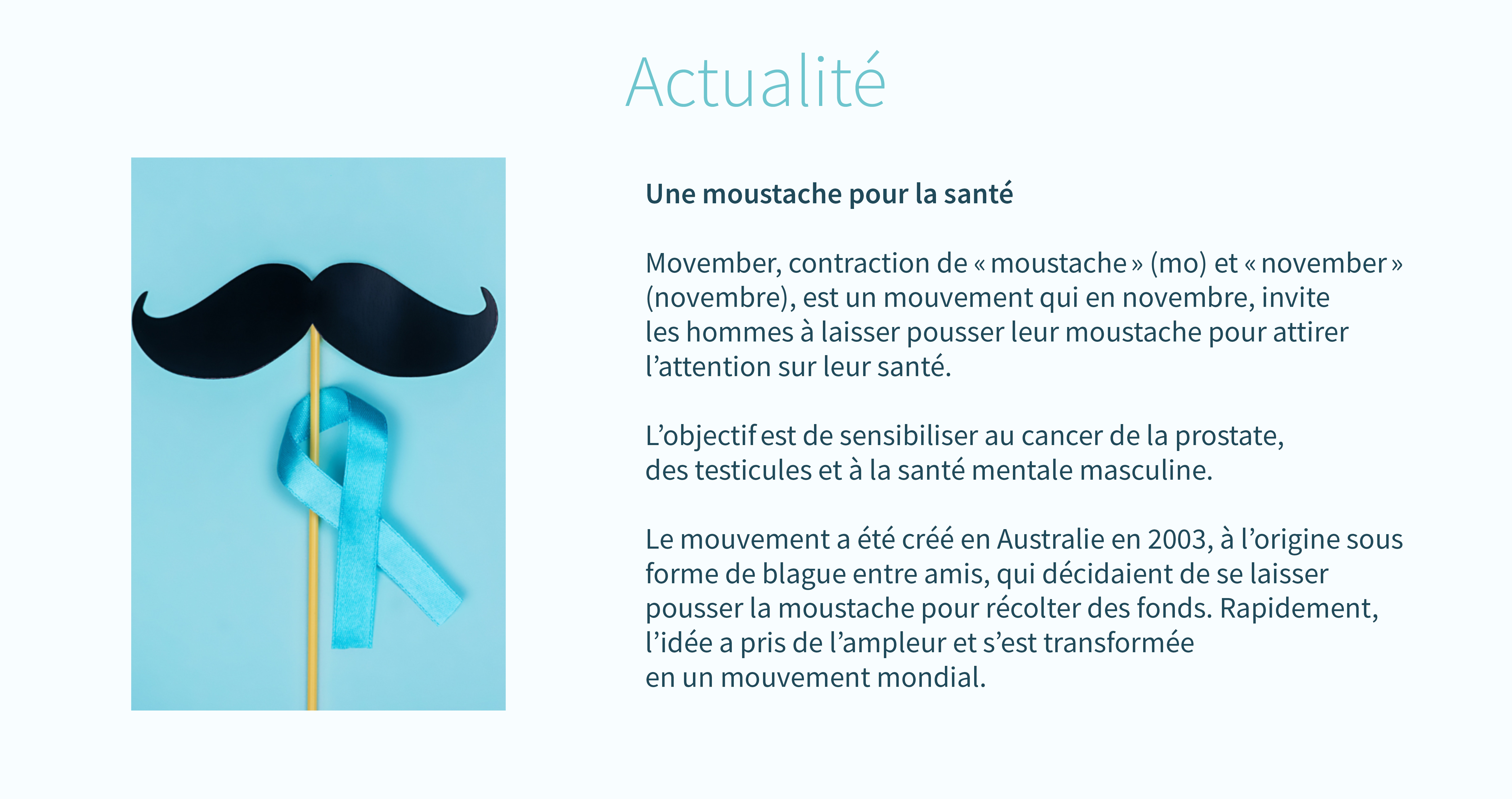 novembre-actualité(1)