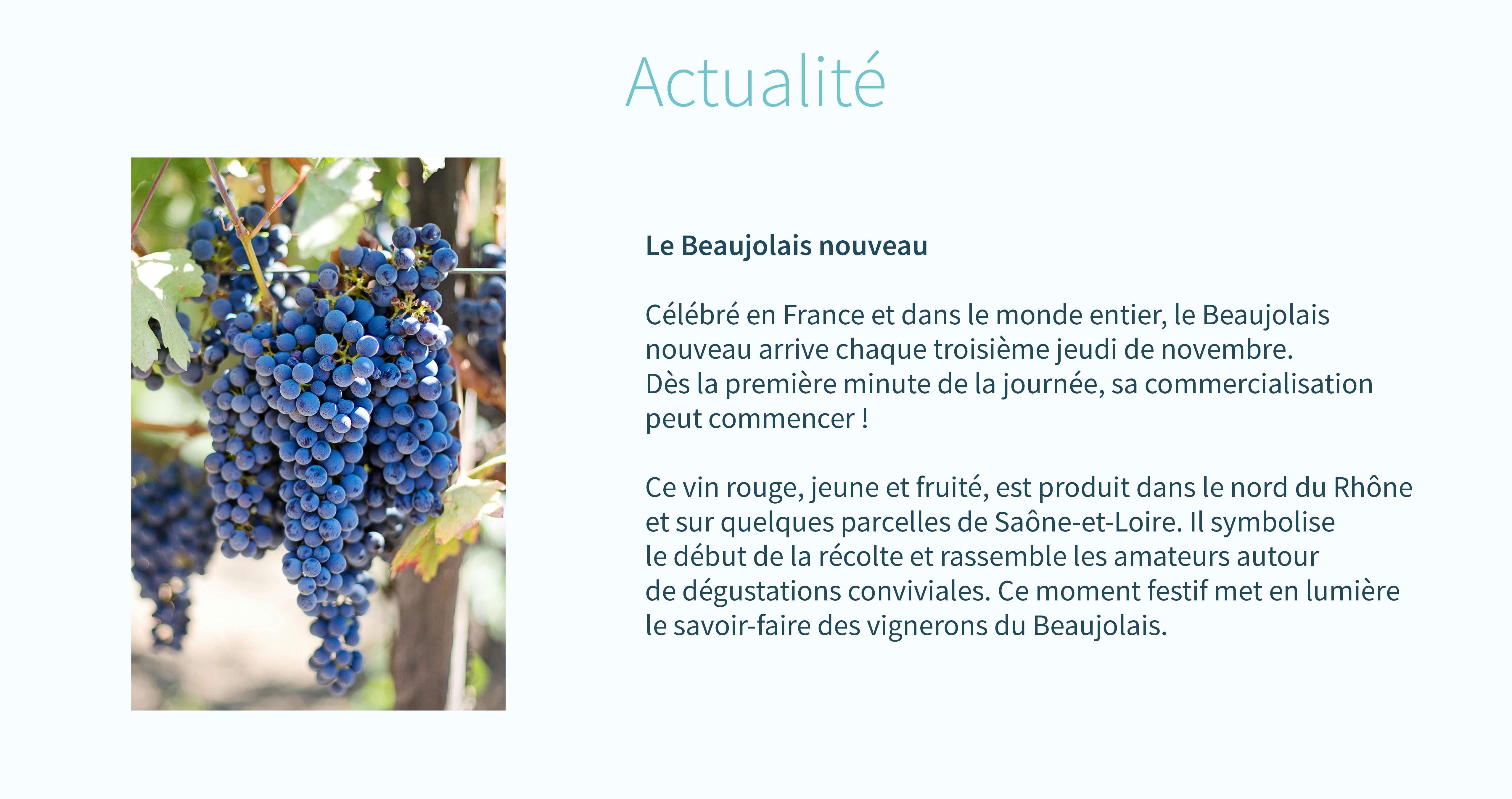 novembre-actualité(2)