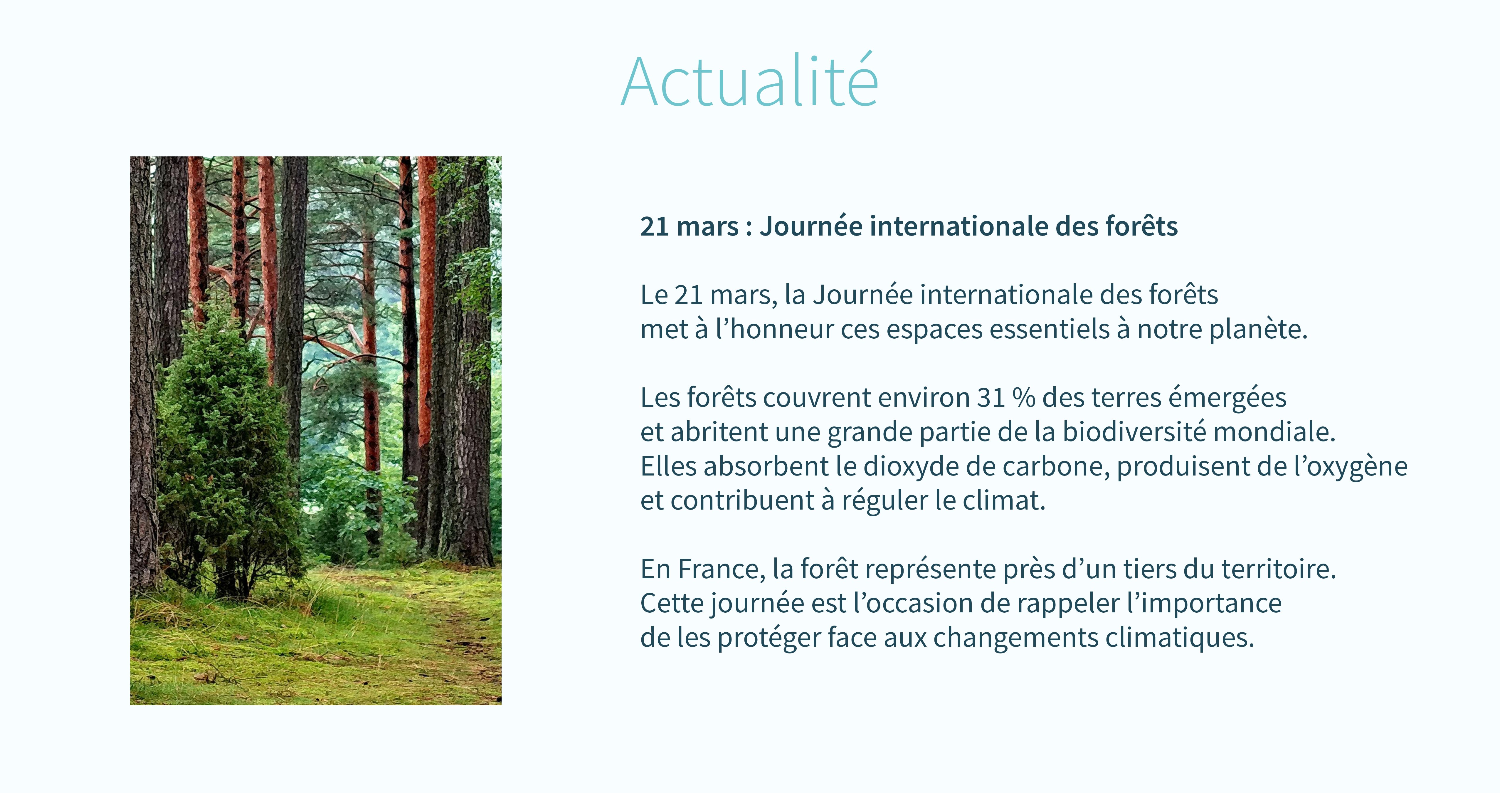 Journée internationale des forêts 