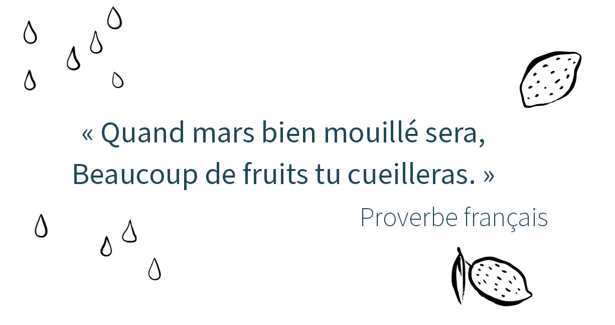 actualité mars 2025 5 - famileo