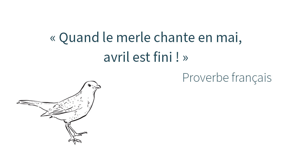 actualité avril 2025 5 - famileo