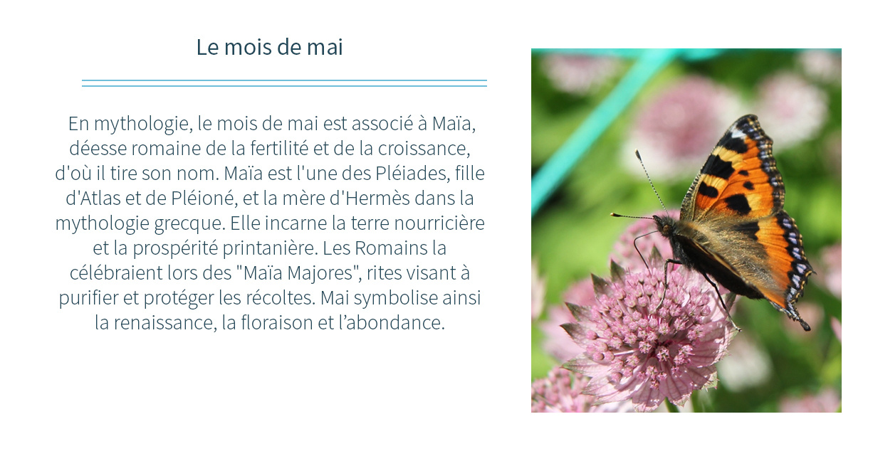 Mai - Actualité 3