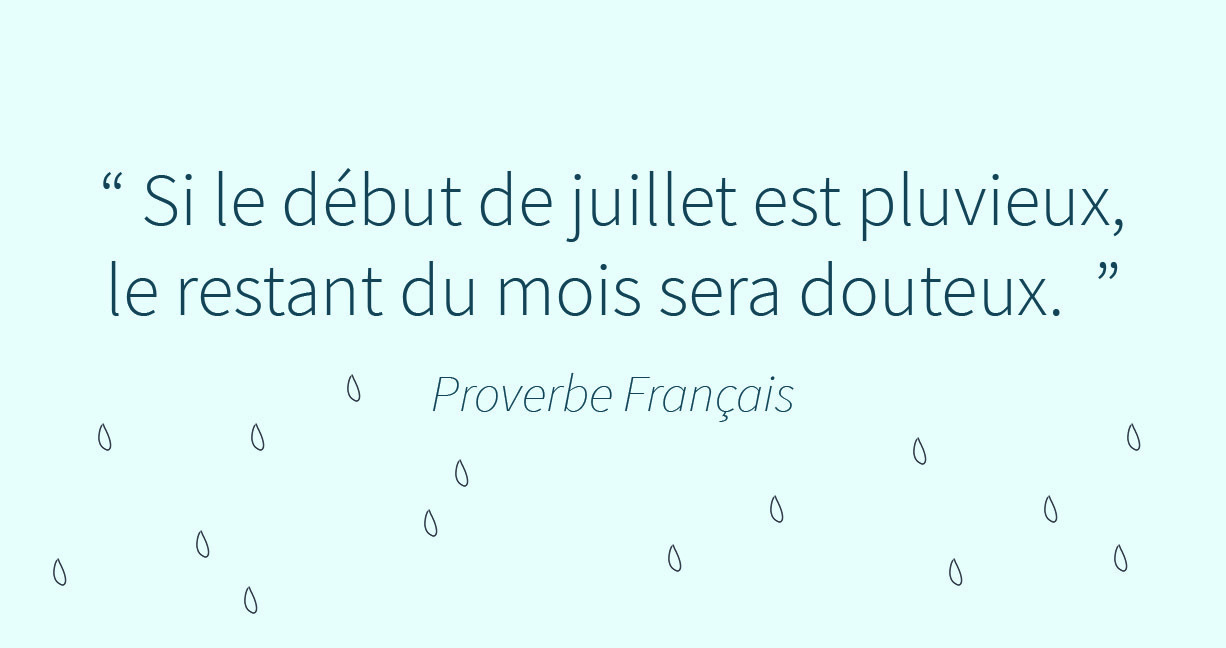 Juillet - Actualités 2 (2)