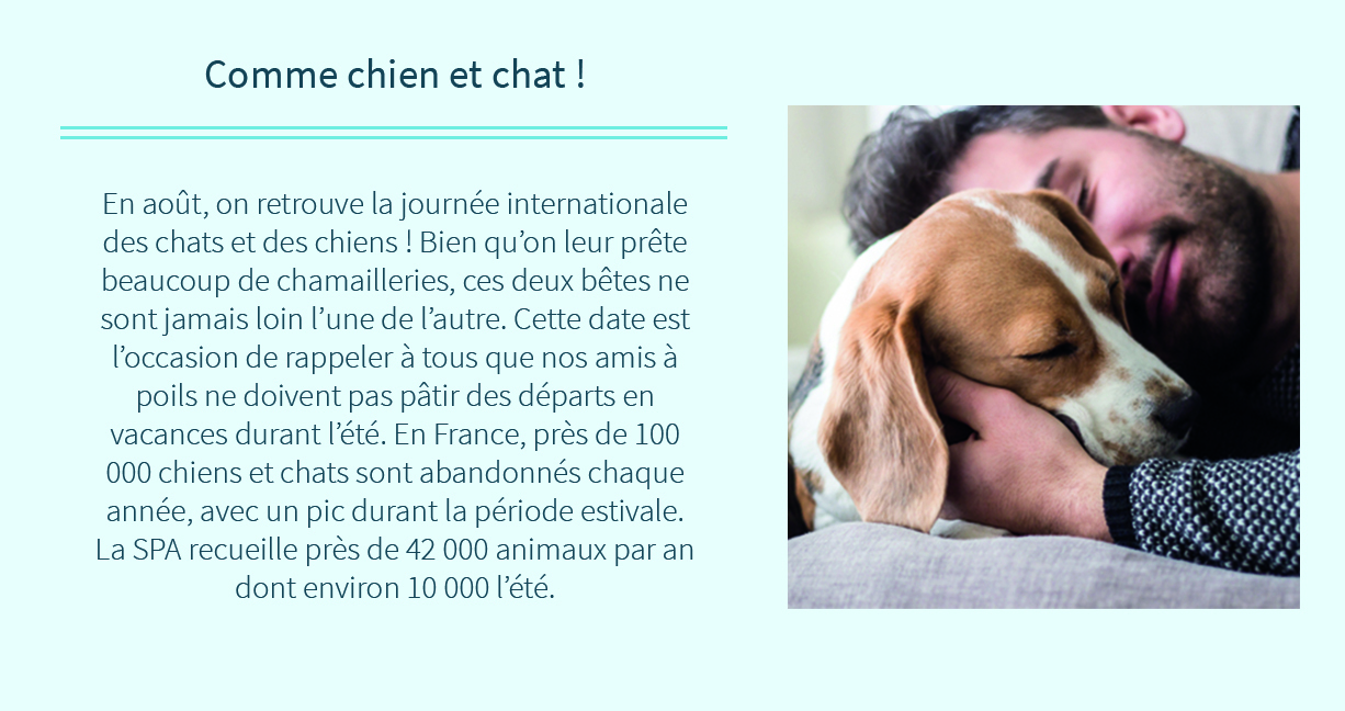 Comme chien et chat