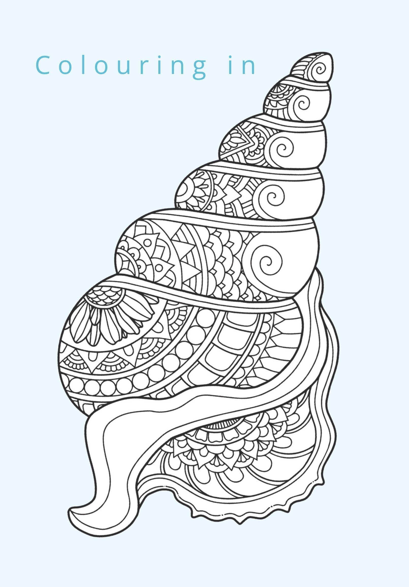 August - Colouring (2)