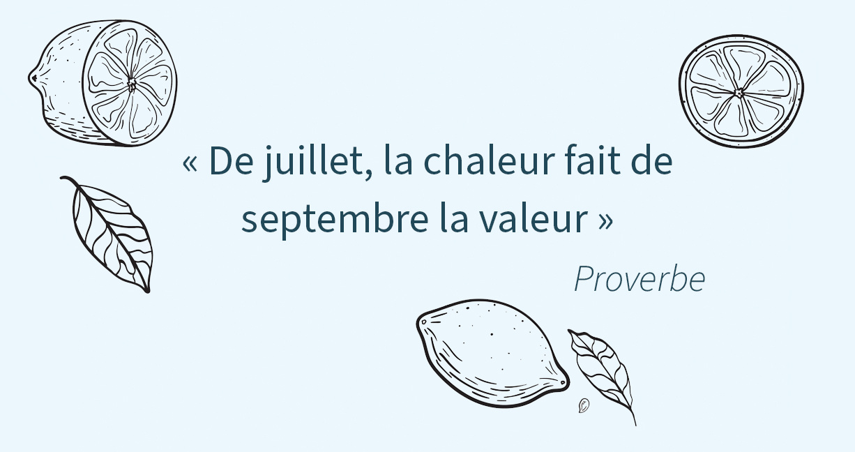 activité juillet - citation - famileo